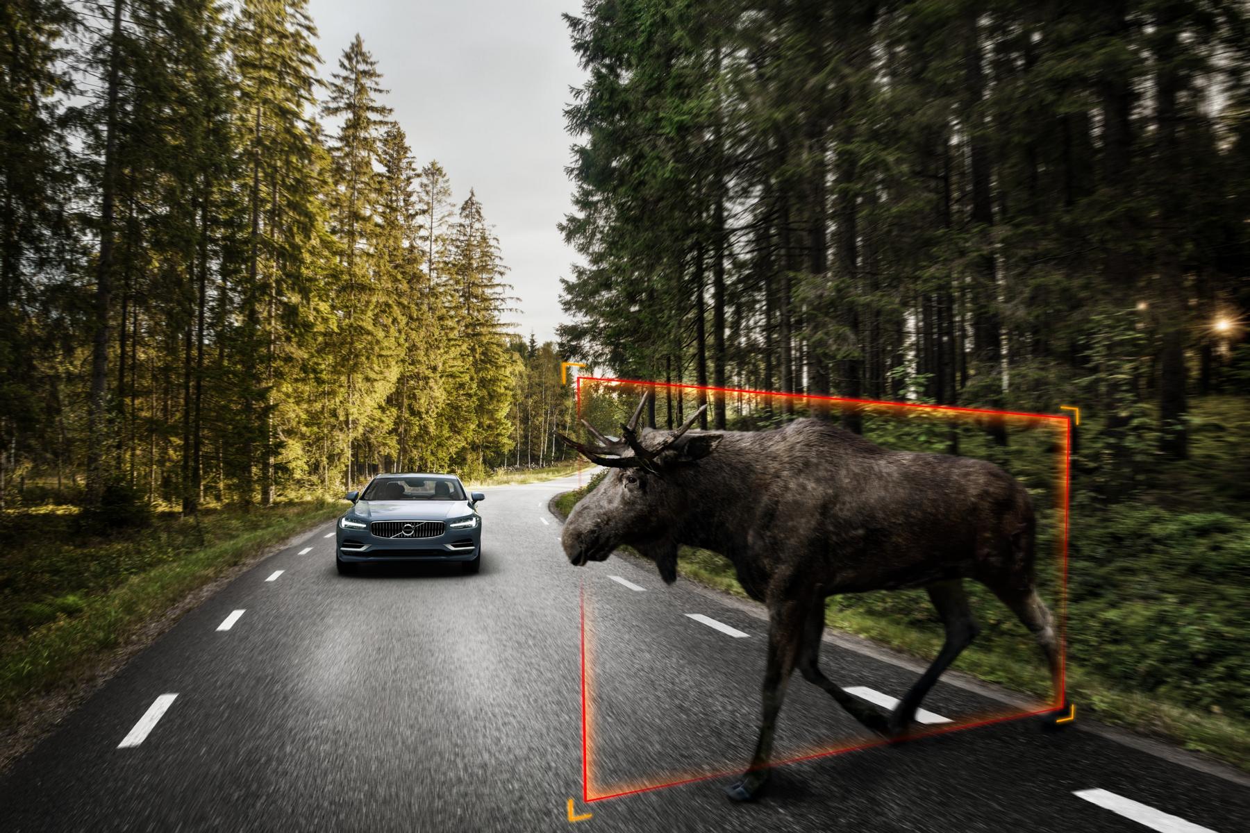 K1600 170930 Volvo S90 City Safety f r gro e Tiere